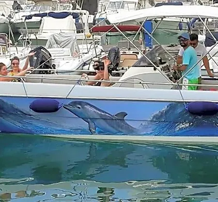 Mediterraneo 3* Cetraro